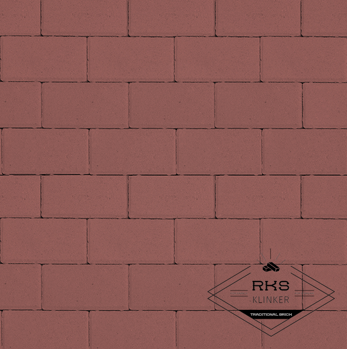 Плитка тротуарная Прямоугольник 1.П.6, Красный, 100х200х60 мм в Белгороде